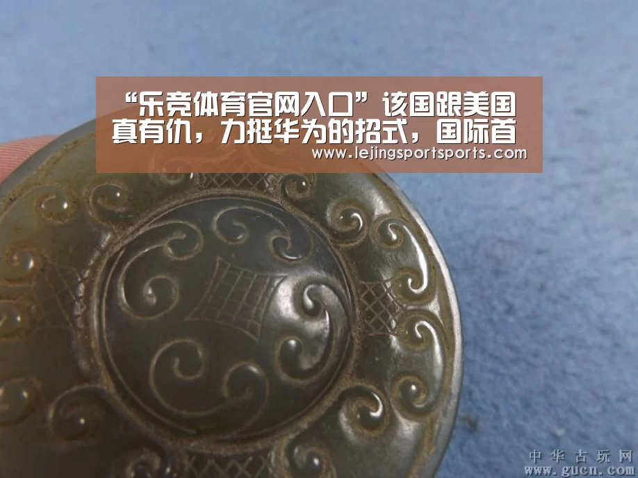 “乐竞体育官网入口”该国跟美国真有仇,力挺华为的招式,国际首例(图3) 乐竞体育官网入口
