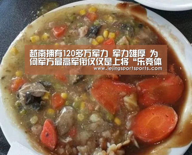 乐竞体育官网入口
